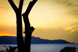 Vue Mer 3 Hotel Le Saint Erasme Calvi