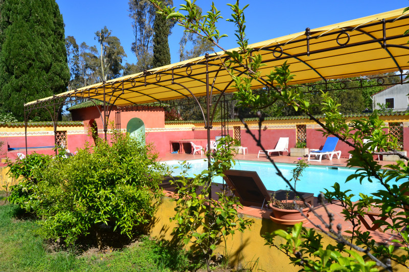 Cyrnéa - © le cyrnea calvi Cyrnéa