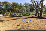 maison M location lumio corse