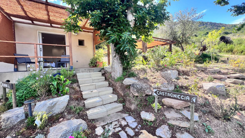 terranella-moncale-balagne-corse